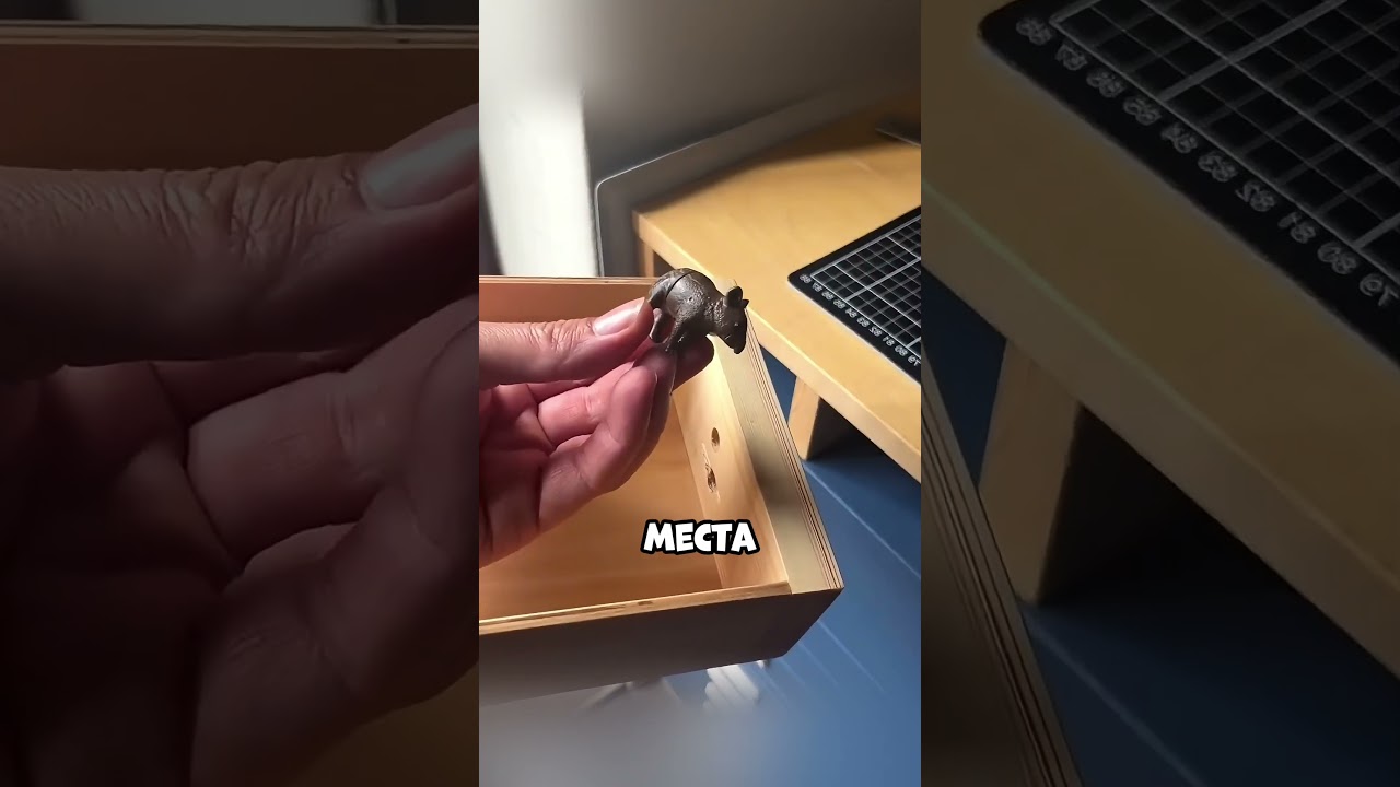 Этот отсек невозможно найти!