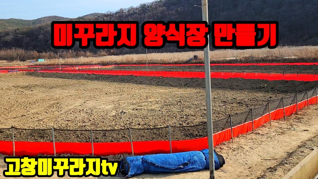 미꾸라지양식장만들기 최고의수익