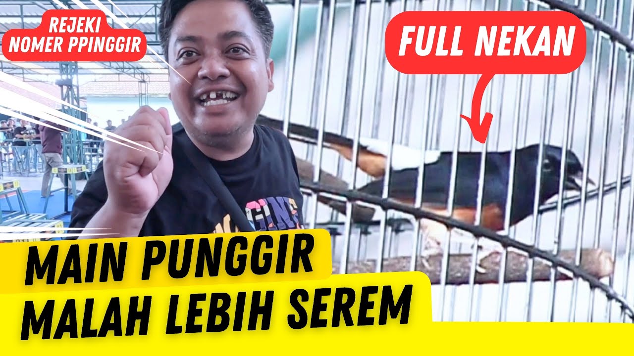 FULL MAIN TEKAN AWAL PEK AKHIR ‼️ JUARA 1 DI PRASASTI