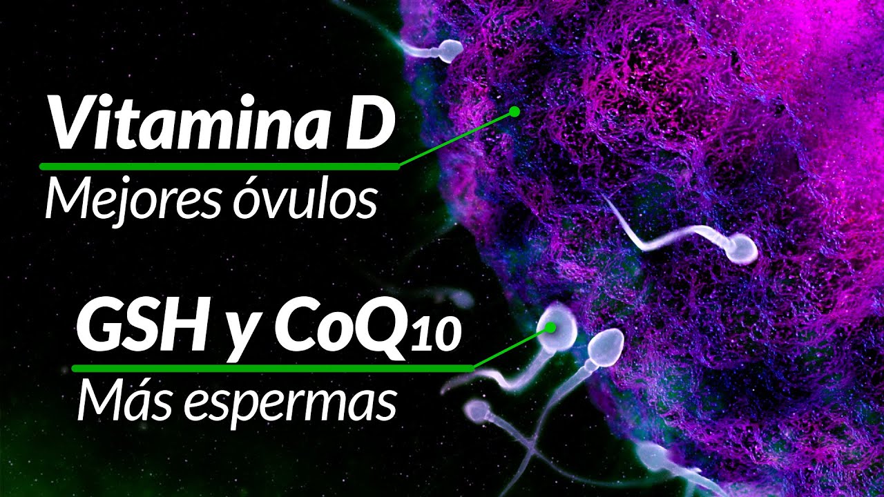 In Vitro: Tips para mejorar la fertilidad y éxitos (vitaminas, suplementos, errores comunes)