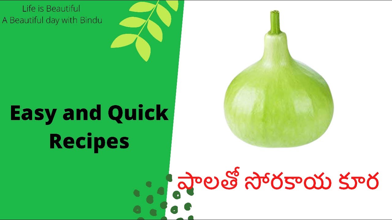 పాలతో సోరకాయ కూర||Telugu Recipes||Quick & Easy recipes||Bachelor recipes||ABeautifulDayWithBindu||