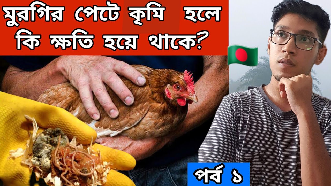 মুরগির পেটে কৃমি হলে কি ক্ষতি হয়? 🤔 আগে (A-Z) জানুন   #murgi #egglandia