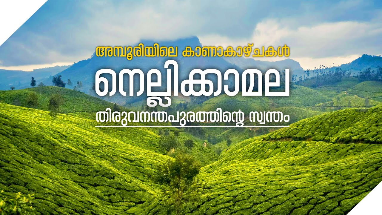 Nellikkamala ! Nellikamala | Koonichimala | Amboori |Trivandrum Hiden Treking Spot #nellikkamala