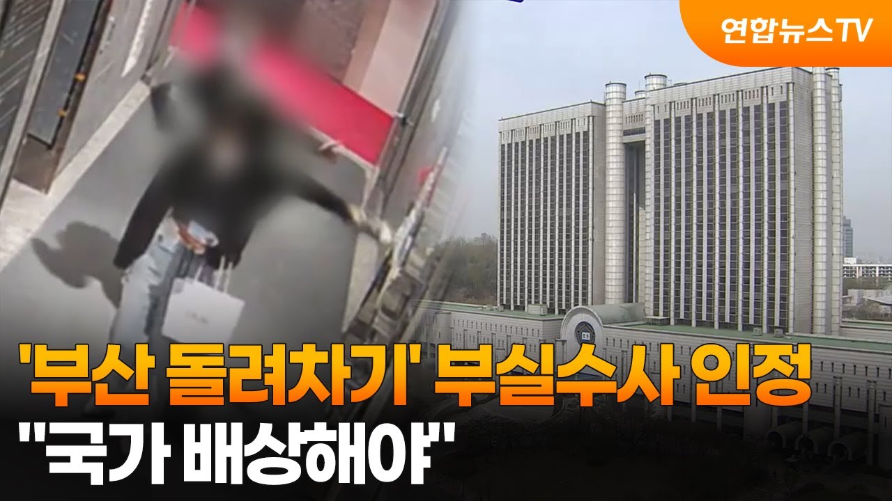 '부산 돌려차기' 부실수사 인정…