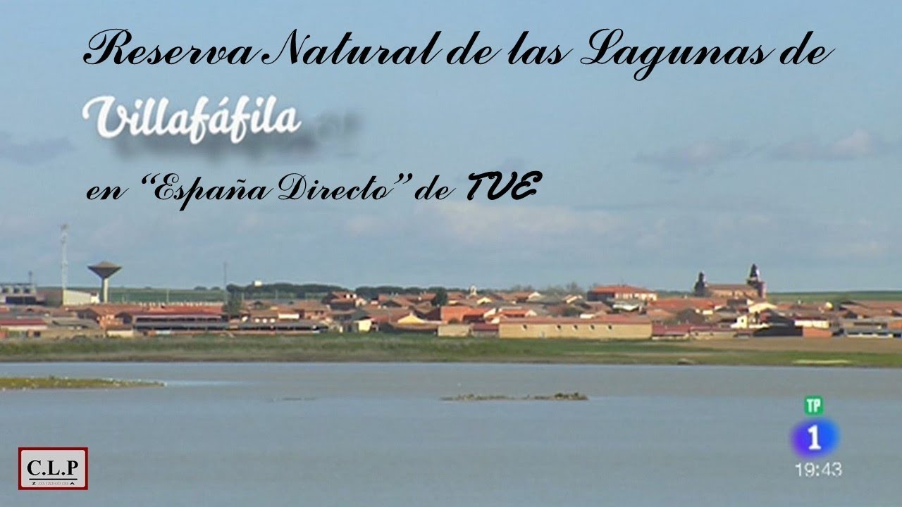 Villafáfila (Zamora).  Reserva Natural de las Lagunas, en España Directo de TVE