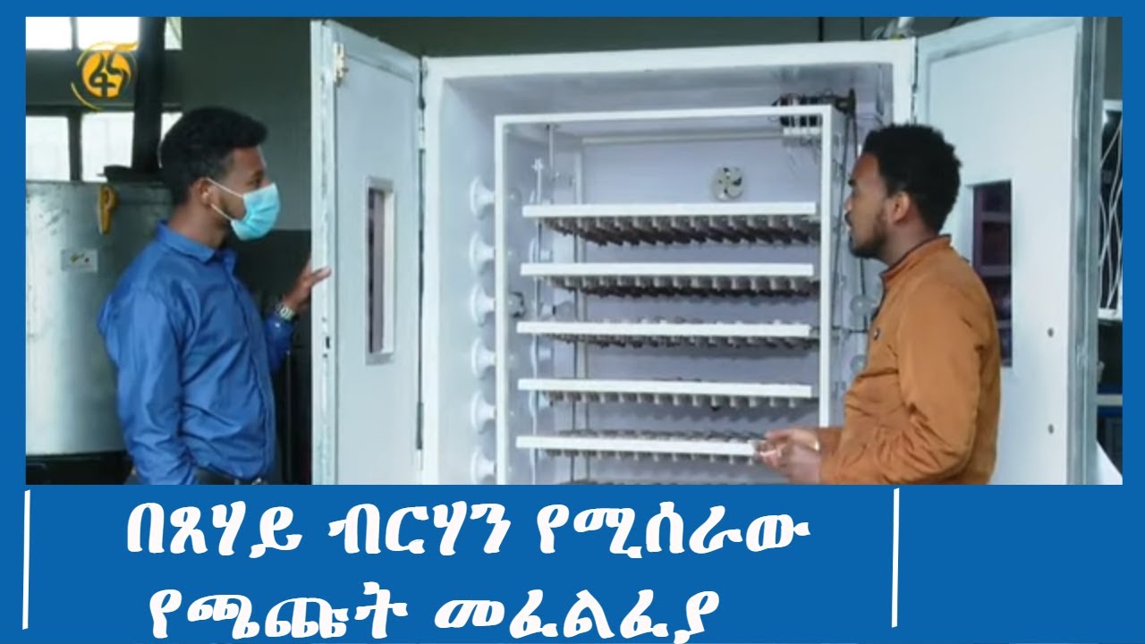 በጸሃይ ብርሃን የሚሰራው የጫጩት መፈልፈያ
