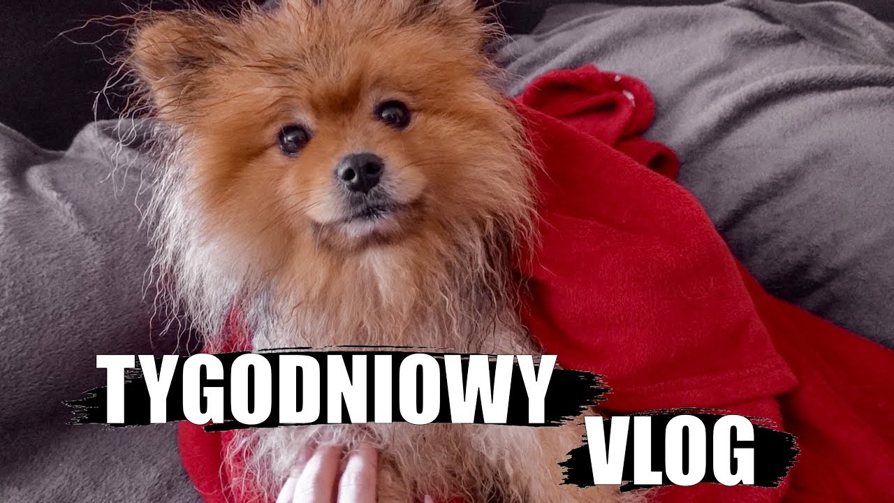 PRIMA APRILIS NA POZIOMIE | VLOG