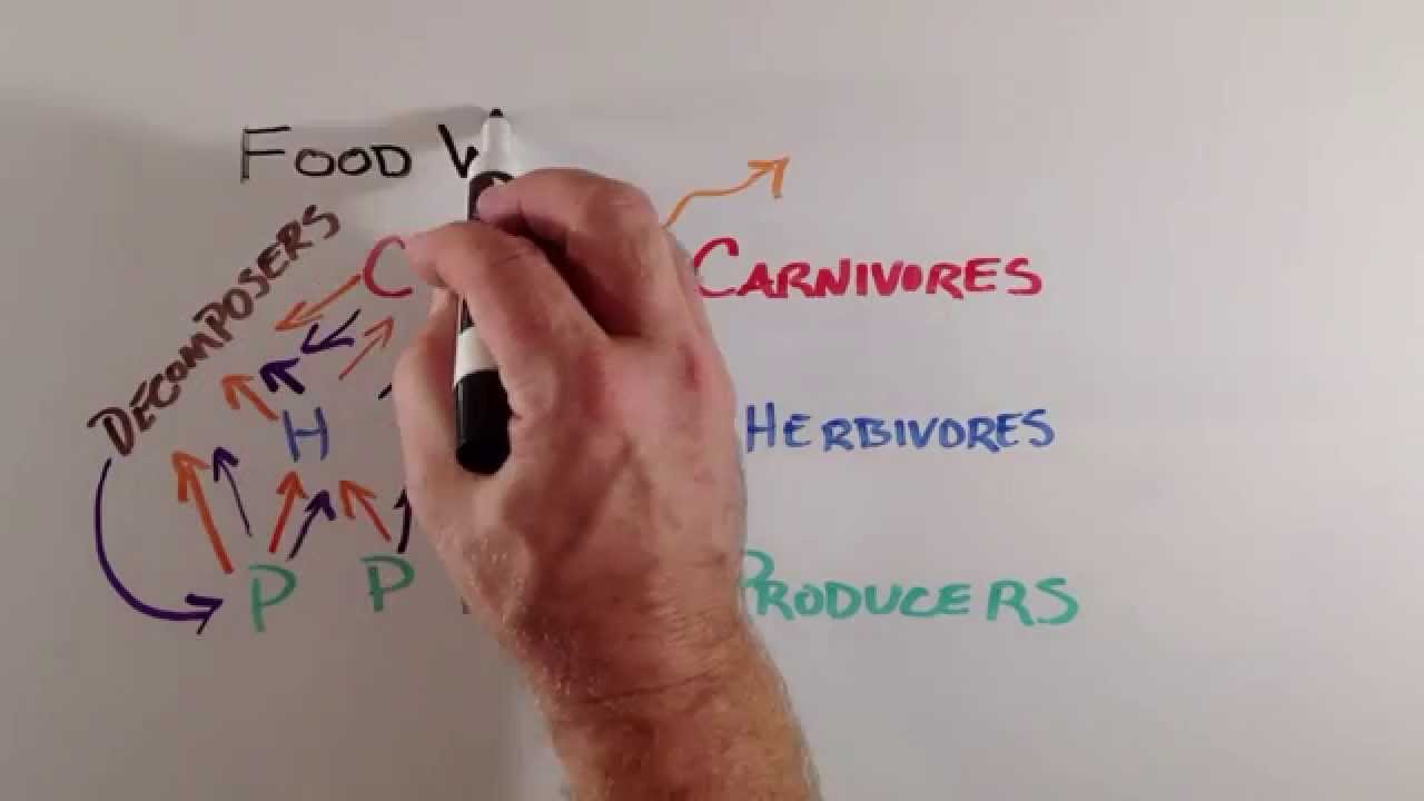 Plant Defenses Against Herbivory