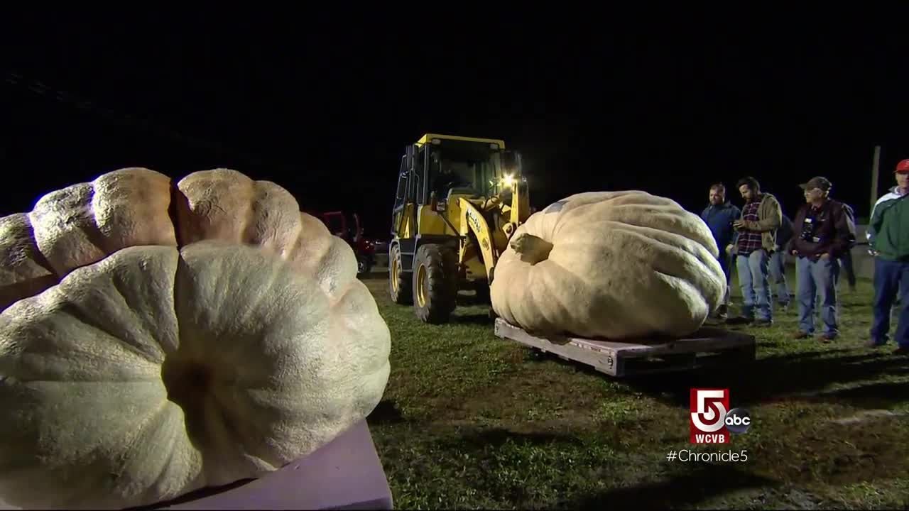 Giant pumpkin breaks U.S. record at Deerfield Fair
