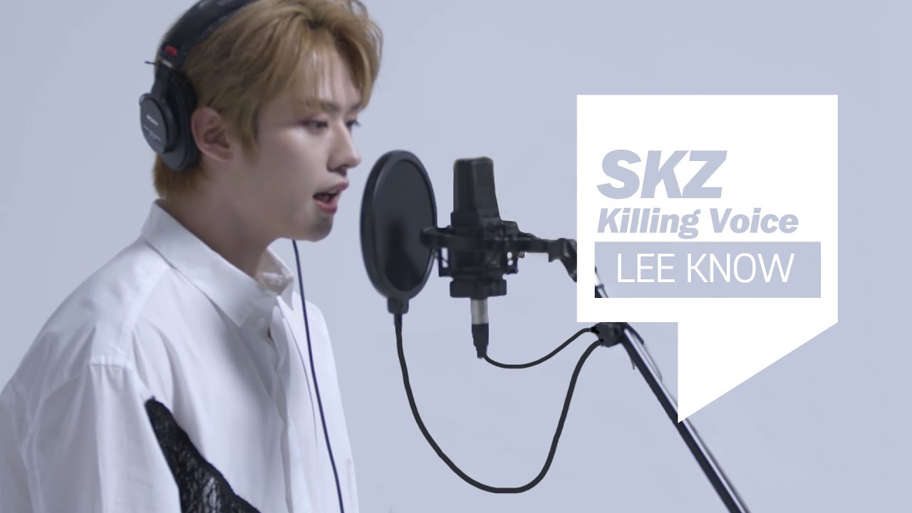 [스트레이키즈] 리노 (Lee Know)의 킬링 보이스를 무대로! I 애, 바람(LEVANTER), Sunshine, 어린날개, Boxer 등