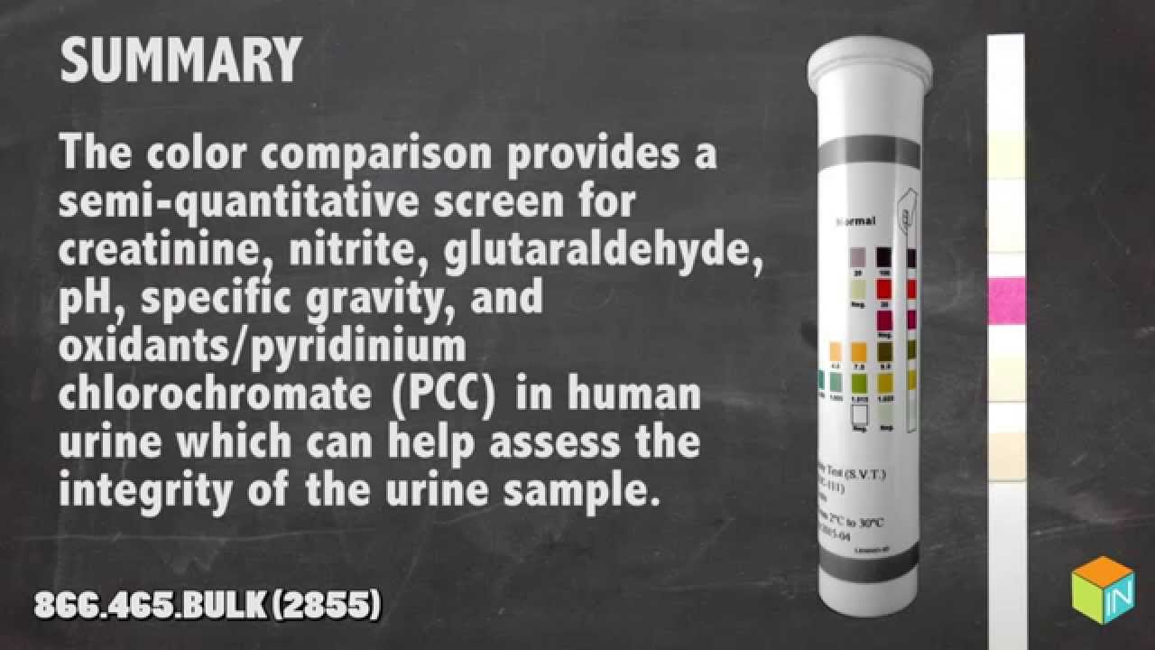 The One Step Specimen Validity Test [SVT] Strip Instructional Video
