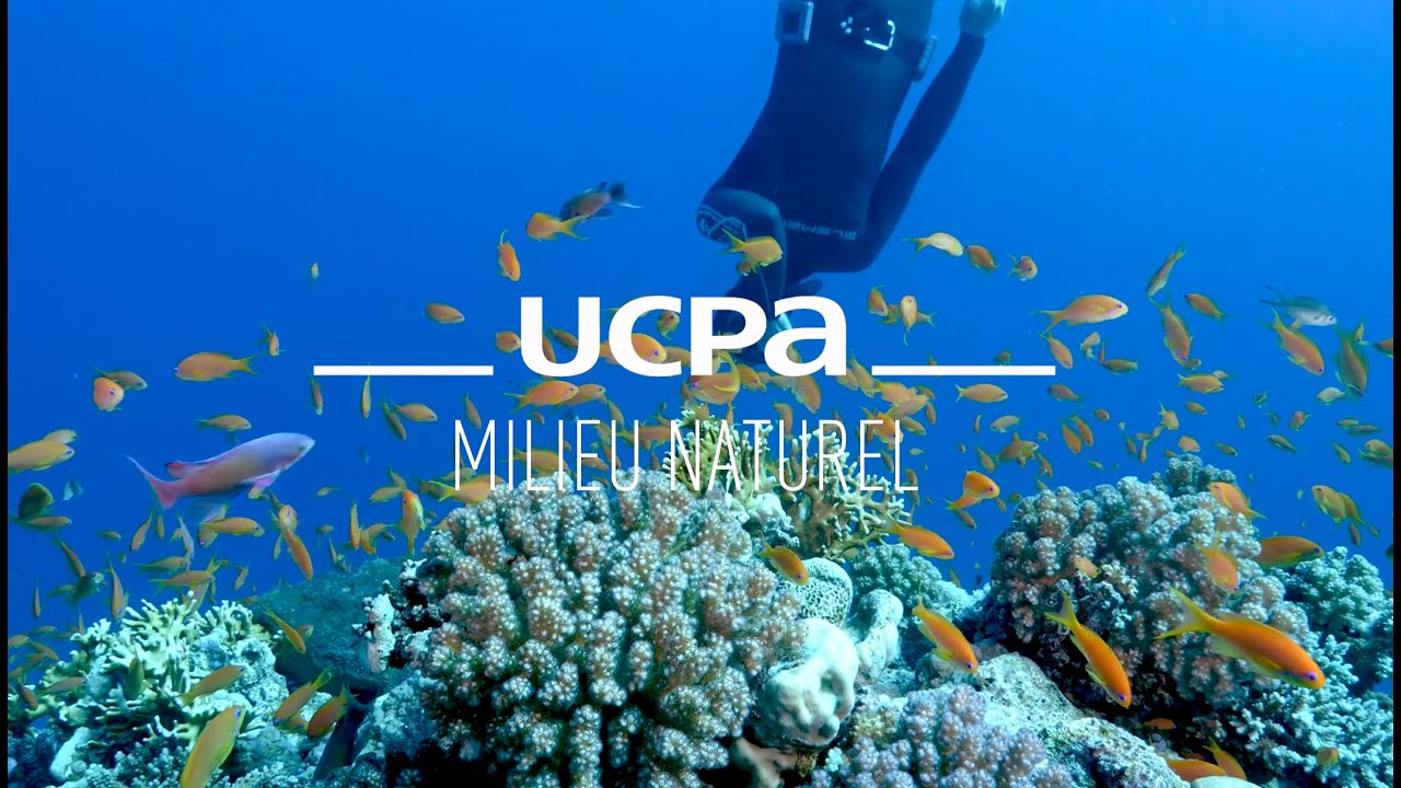 Tutos apnée #12 - Comment explorer le milieu naturel
