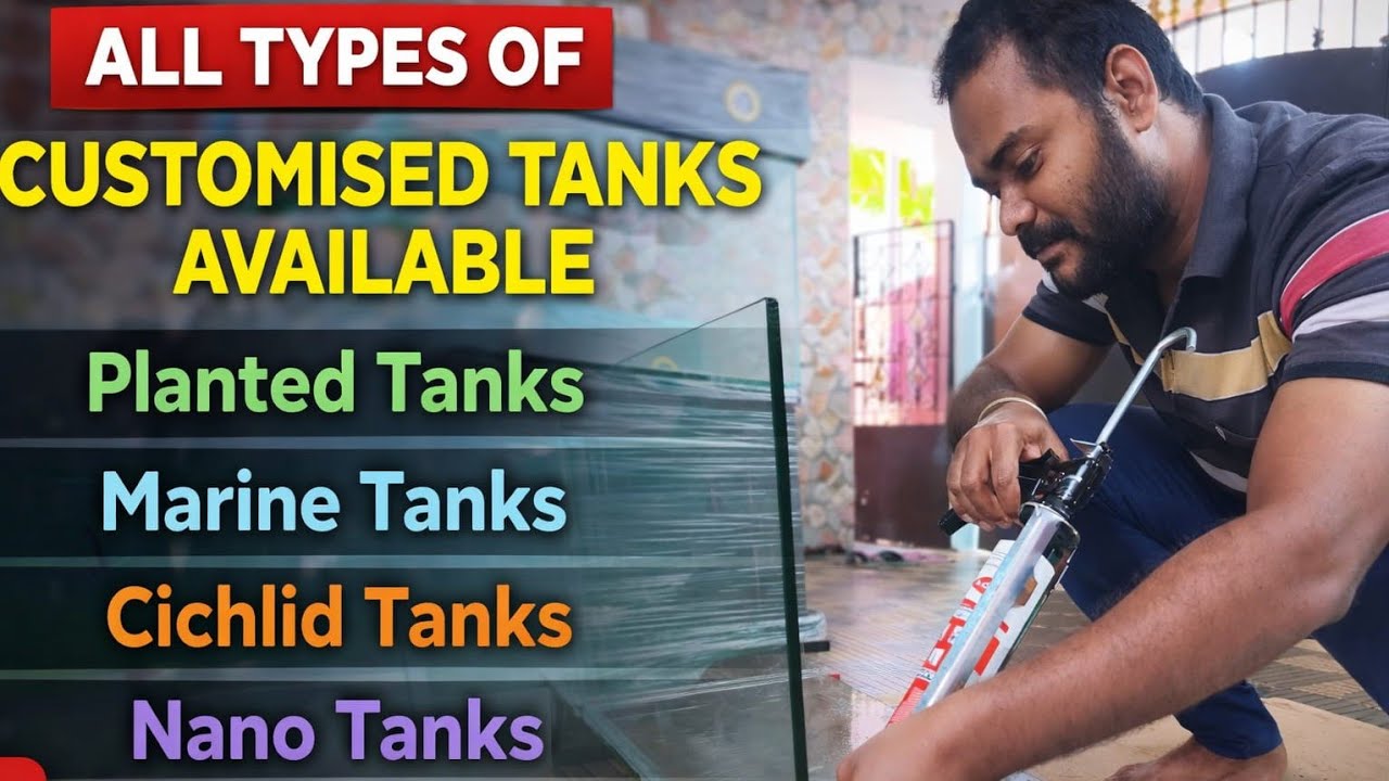 AQUARIUM TANK FOR SALE / ZERO SILICON PASTING/ 3ft TANK AT OFFER PRICE / ROYAL AQUATICS INDIA /தமிழ்