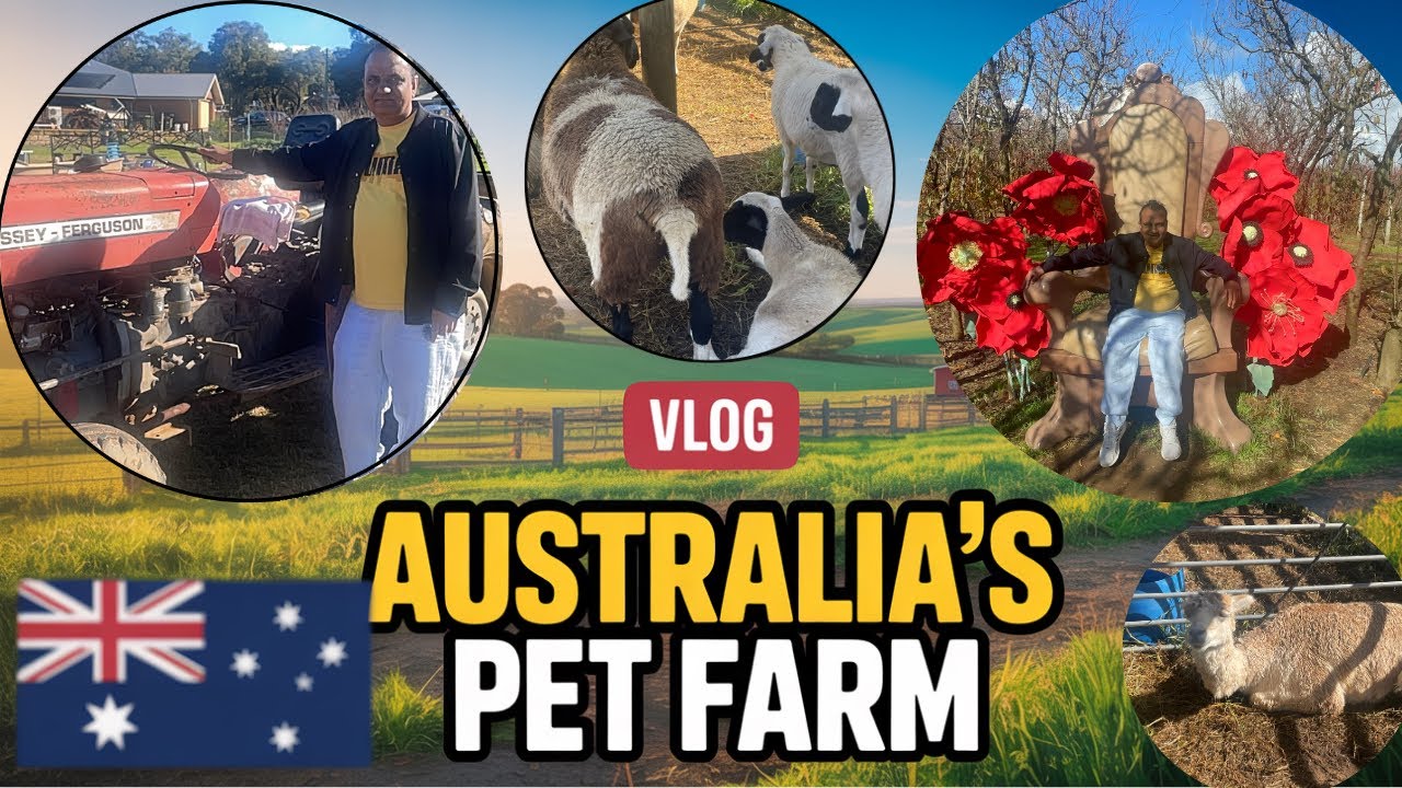 किसान फार्म ऑस्ट्रेलिया🦘🇦🇺 | FARMS IN AUSTRALIA - VLOG #31 | HARYANVI LIFE AUSTRALIA 🇦🇺