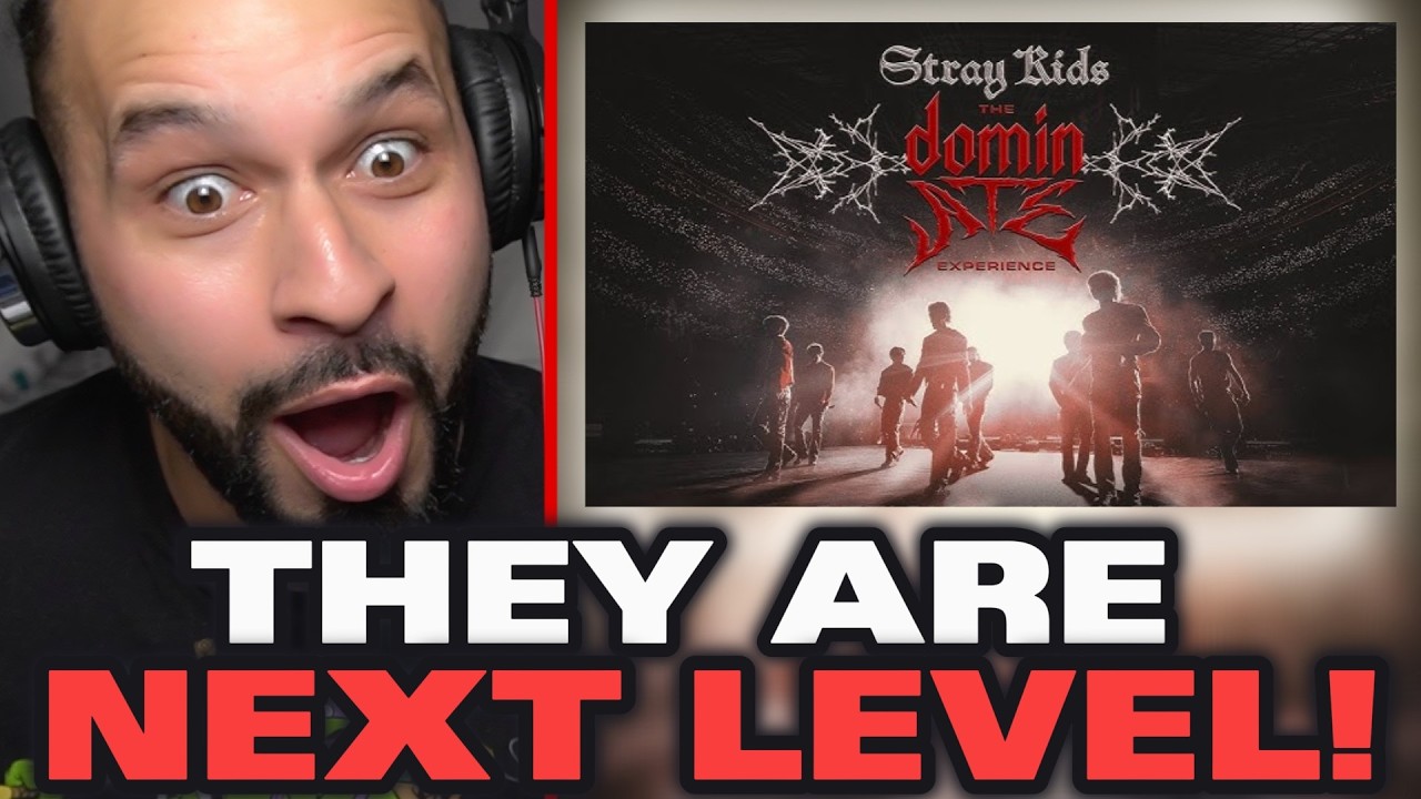Я посмотрела Stray Kids: The Dominate Experience!