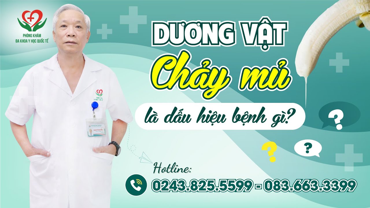 DƯƠNG VẬT CHẢY MỦ TRẮNG ĐỤC, MỦ VÀNG LÀ BỊ BỆNH GÌ?