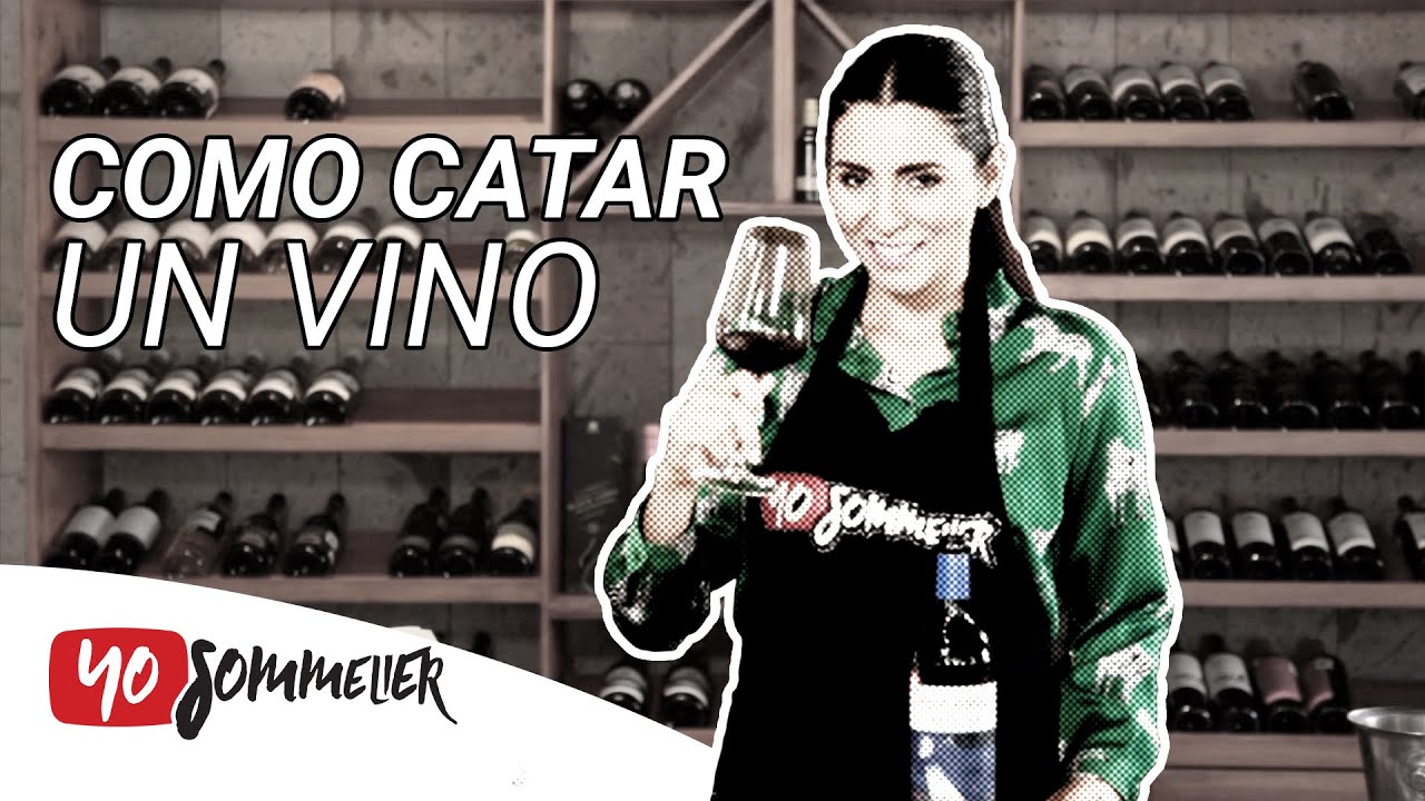 ¿Como Catar un Vino? | Yo Sommelier