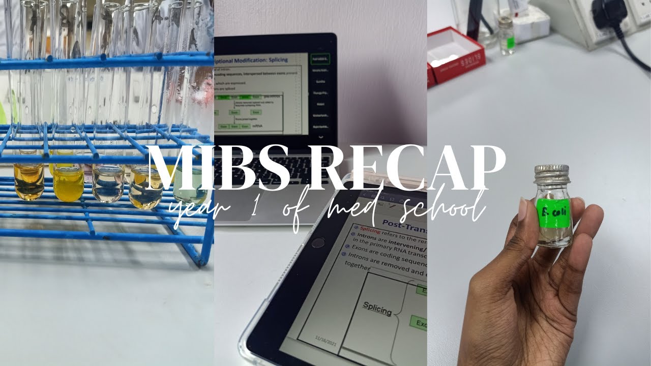 year 1 of med school I MIBS Recap I AIMST University I Malaysia