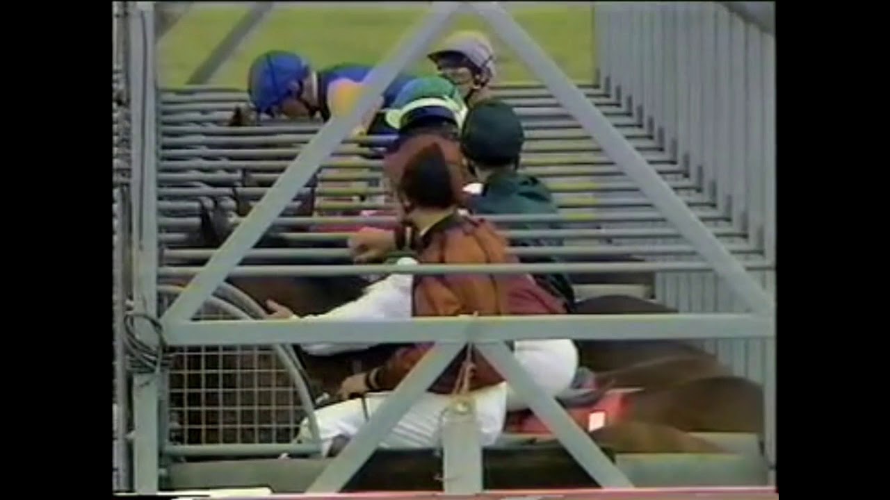 1988 Irish Derby Curragh
