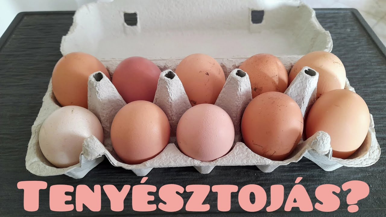 Ty&uacute;ktoj&aacute;s keltet&eacute;s - toj&oacute;k felk&eacute;sz&iacute;t&eacute;se, teny&eacute;sztoj&aacute;s termel&eacute;s