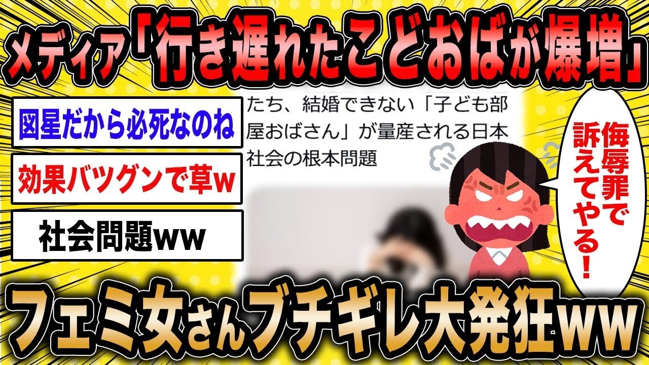 【2ch面白いスレ】メディア「行き遅れた子供部屋おばさんが量産されています」←フェミ女さん図星を突かれて大発狂ww【ゆっくり解説】