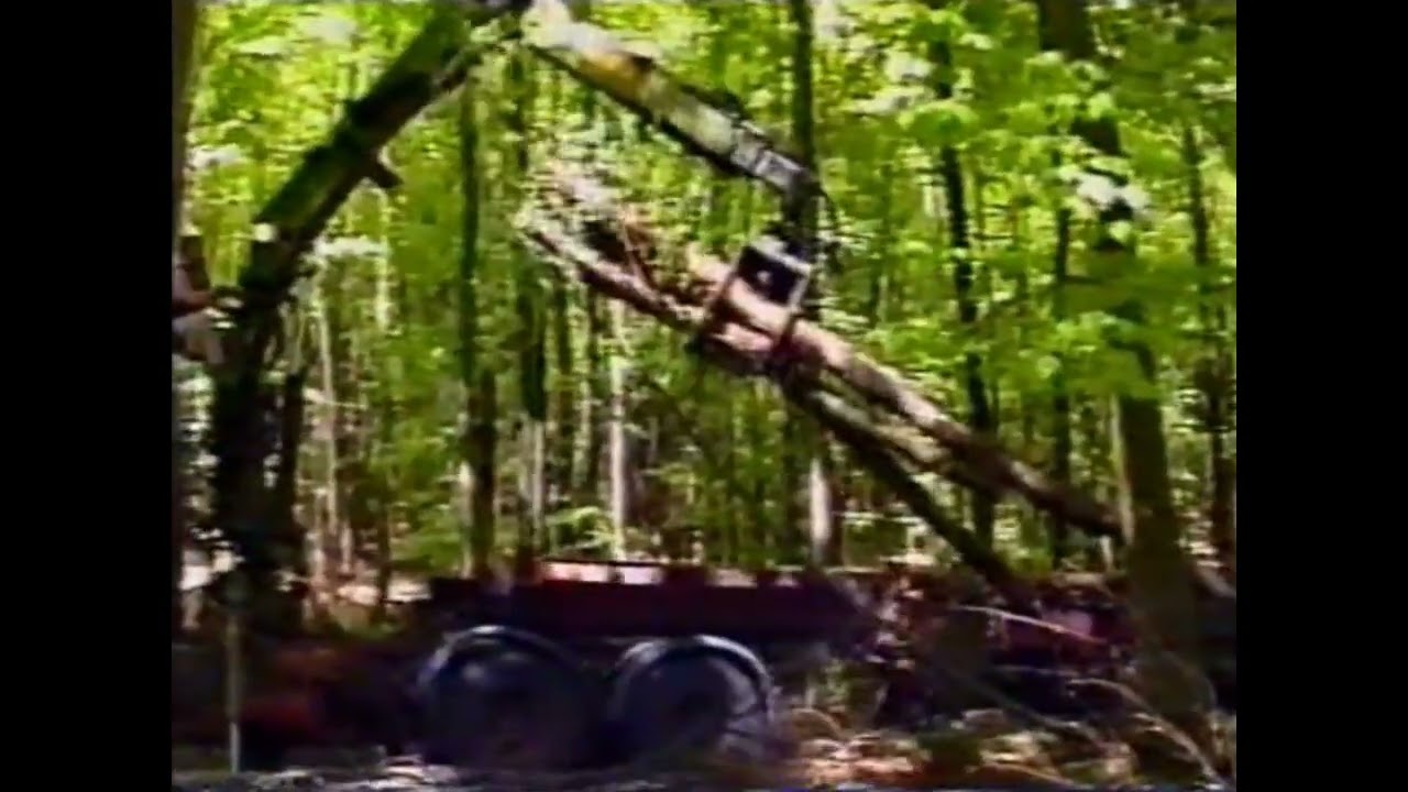 Holzkutscher Franky Langholz 1989