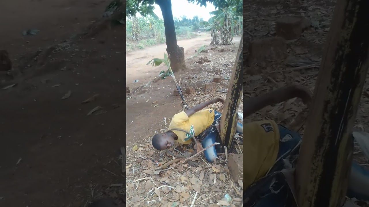 misopa comedy: kwiga igare