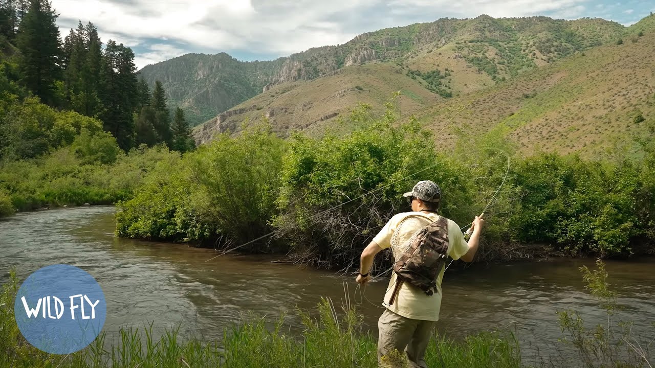 3 Days of Dry Flies, Camping & Cooking in a Euro Van