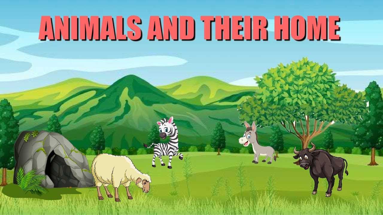 Animals and their homes | Animals home | Home of animals | Animal homes | Animal shelter for kids