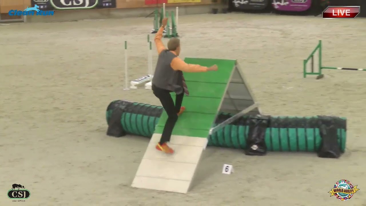 Marquand Cheek solo on WAO 2015