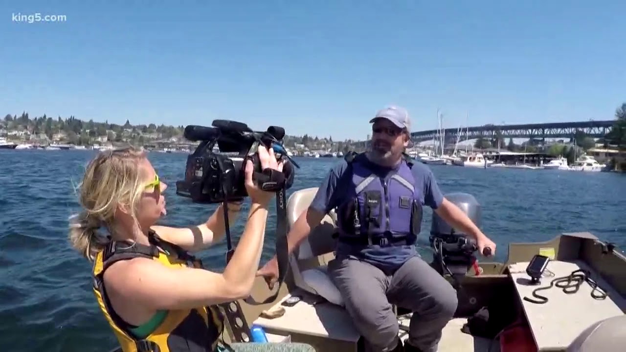 Volunteers clean up Seattle fireworks debris
