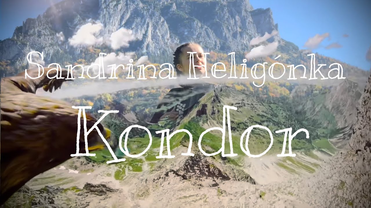Kondor - SANY