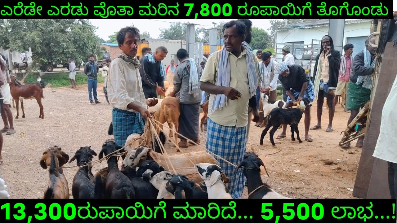 ಮರೀಲಿ ಇಷ್ಟೊಂದ್ ಲಾಭಸಿಗುತ್ತೆ ಅನ್ನೋದಾದ್ರೆ ಯಾಕ್ ಸಿಟಿಗಳಿಗೆ ದುಡಿಯೋದಕ್ಕೆ ಹೋಗ್ಬೇಕು...?