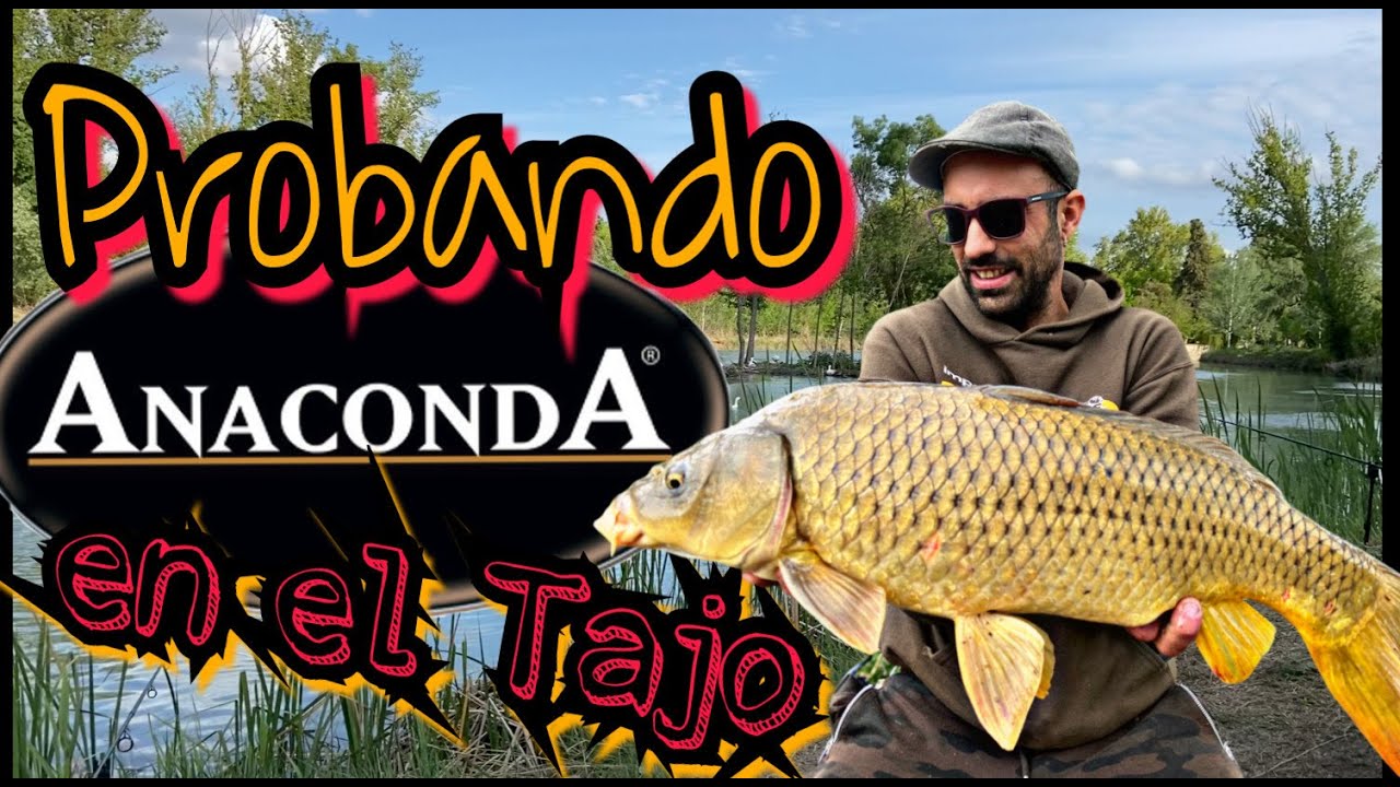 Carpfishing en Aranjuez (rio Tajo)