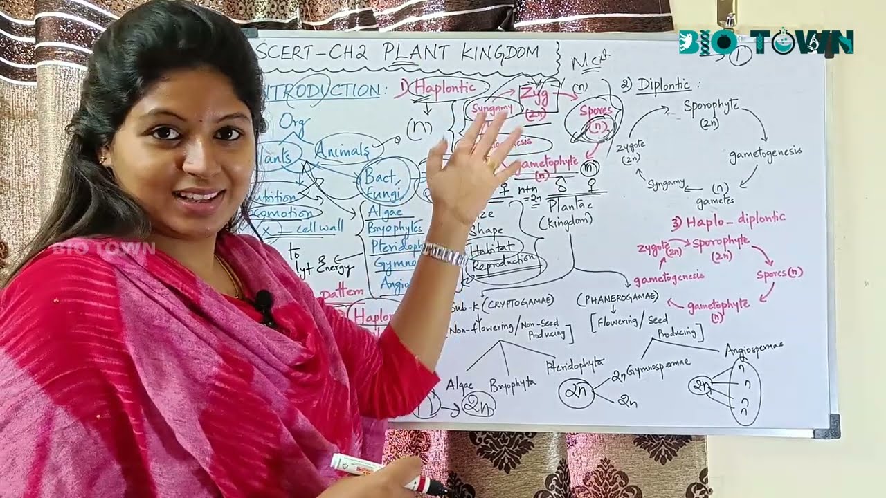 Plant Kingdom | SCERT Class 11 Bio Botany Chapter 2 | Tamil