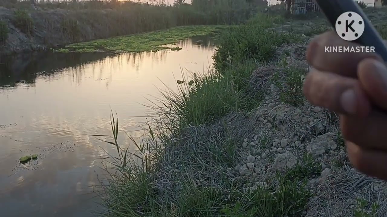 اكتشاف مكان جديد لصيد البلطى بالصرصار  بالليل🐠🐠🐠🐠
