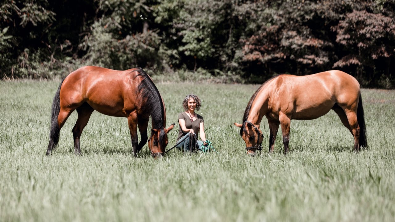 Western Dressage World Show 2019 with Stacy Westfall