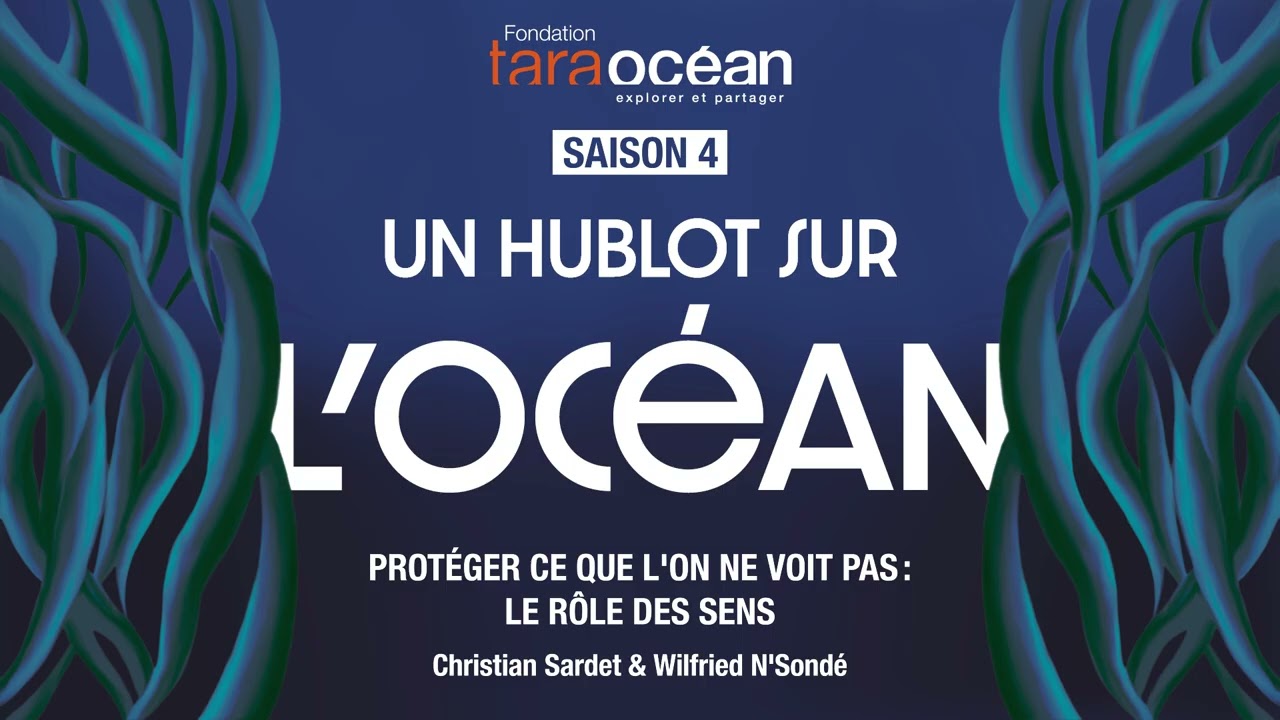 Protéger ce que l’on ne voit pas : le rôle des sens, Saison 4 Episode 4 | Un hublot sur l'Océan