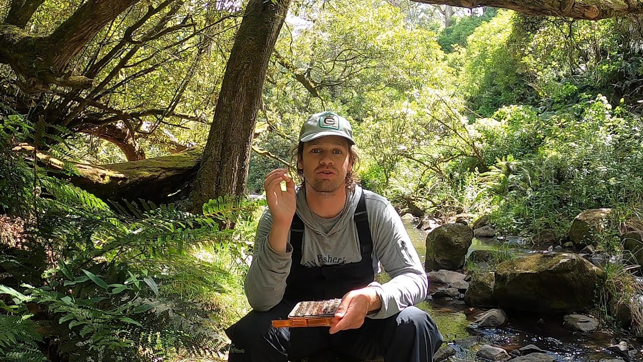 My Top 3 Australian River Nymphs | Fly Fishing