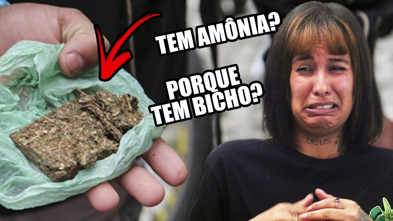 PRENS4D0: Tudo que você precisa saber sobre