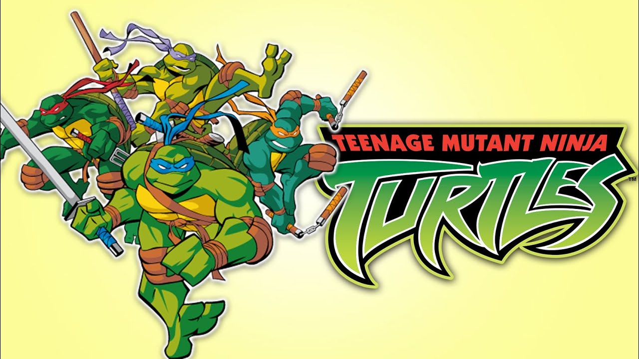 Teenage Mutant Ninja Turtles (2003) Was UNDERRATED!