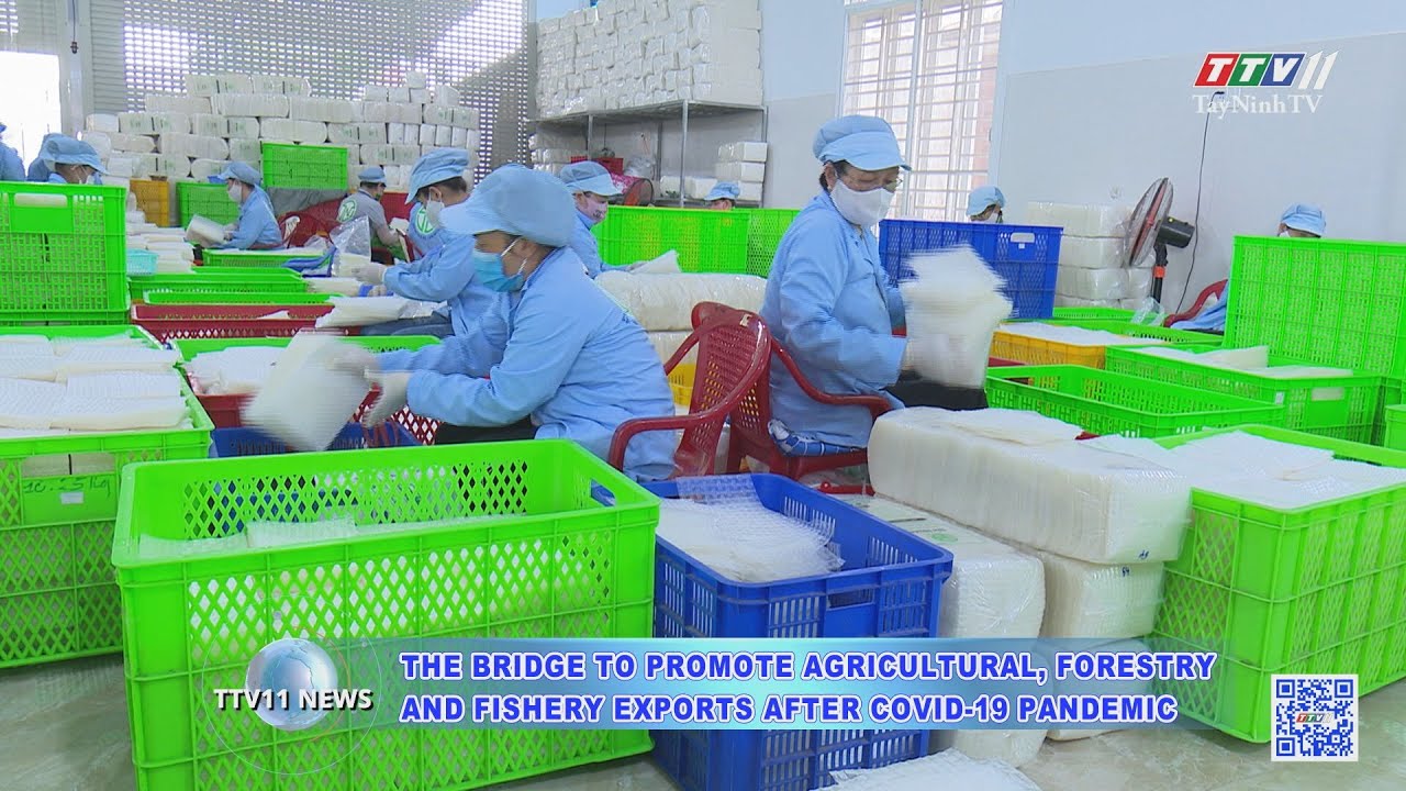 TTVNEWS 17/01/2022 | TayNinhTV Today