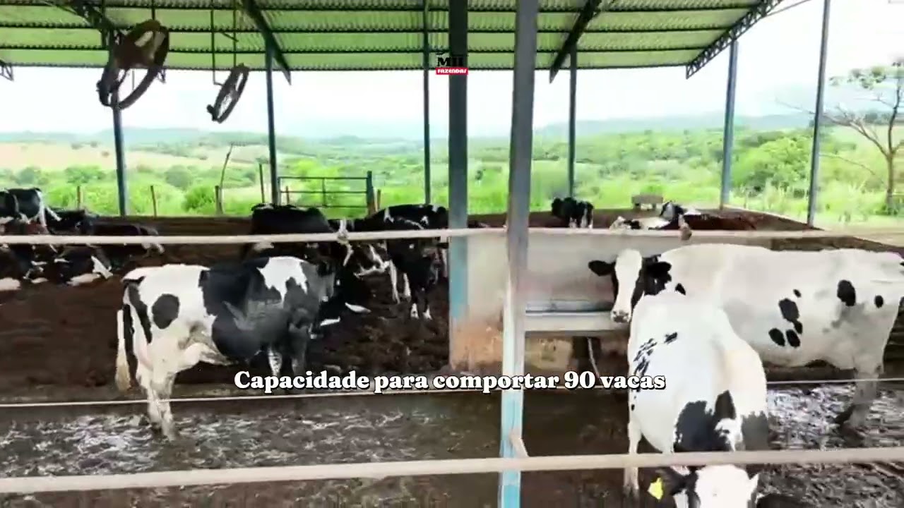 Chácara á venda com  4,5 alqueires (21,69 hectares) em Pontalina - Go