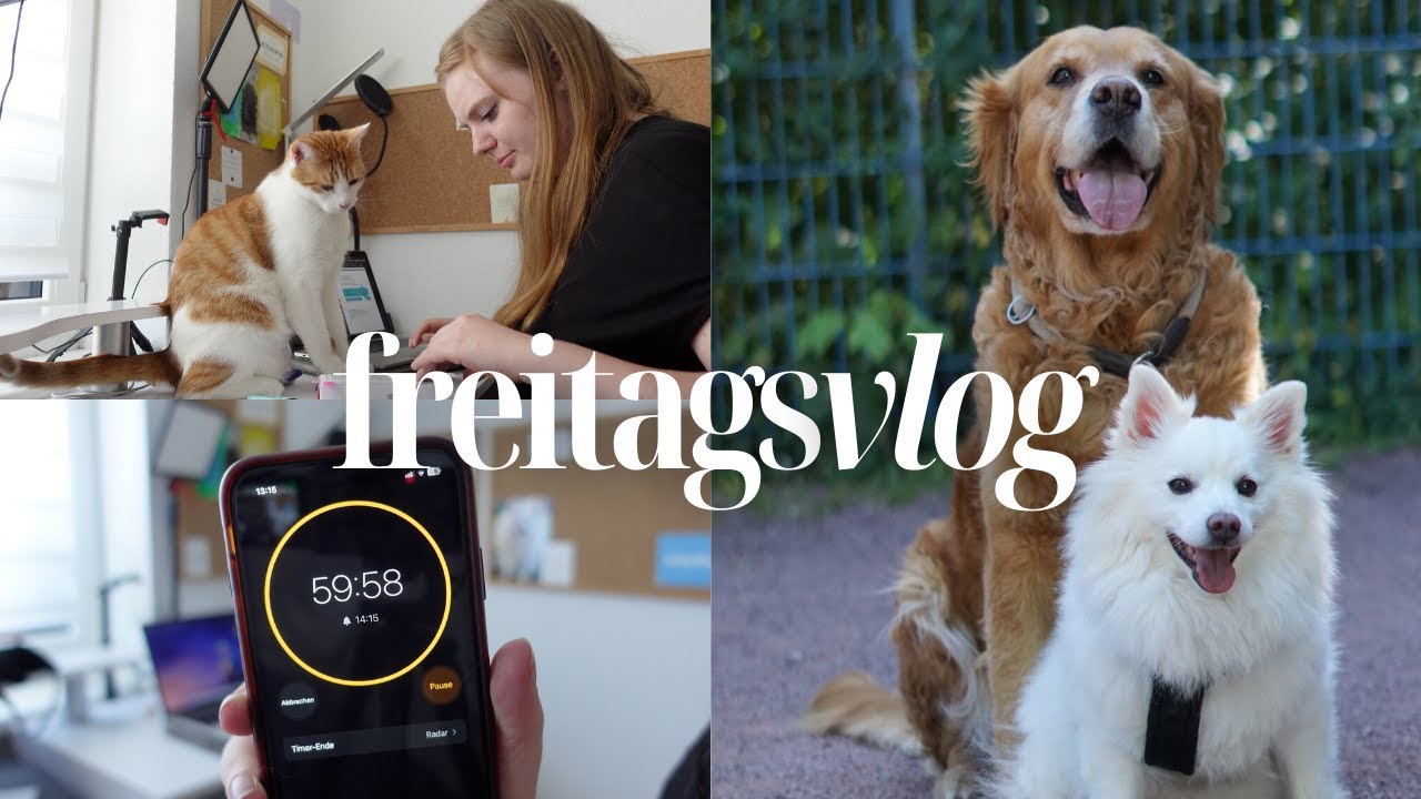 Tag der geschlossenen Tür 🔒 | Freitagsvlog #79