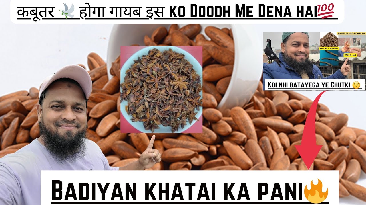 कबूतर 🕊 होगा गायब is Badiyan Khatai Ke Khel Pani Se||Kulanjan Wali Chutki Ka Pani ||