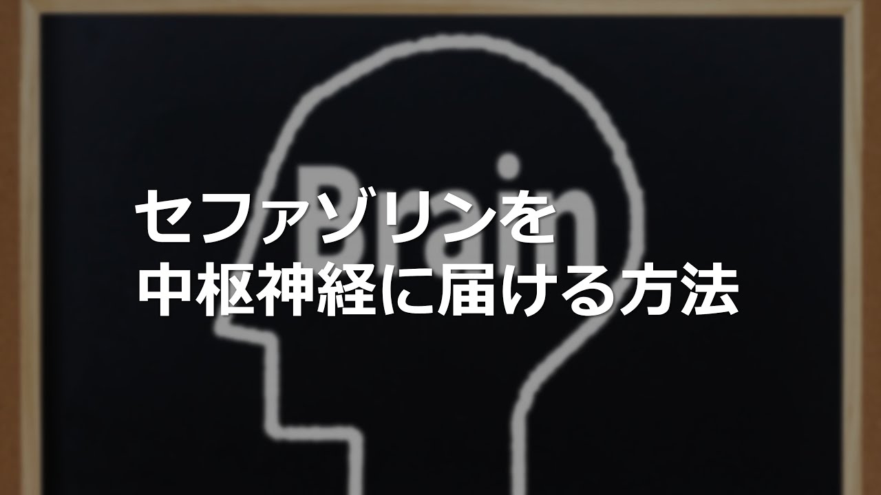 セファゾリンを中枢神経に届ける方法