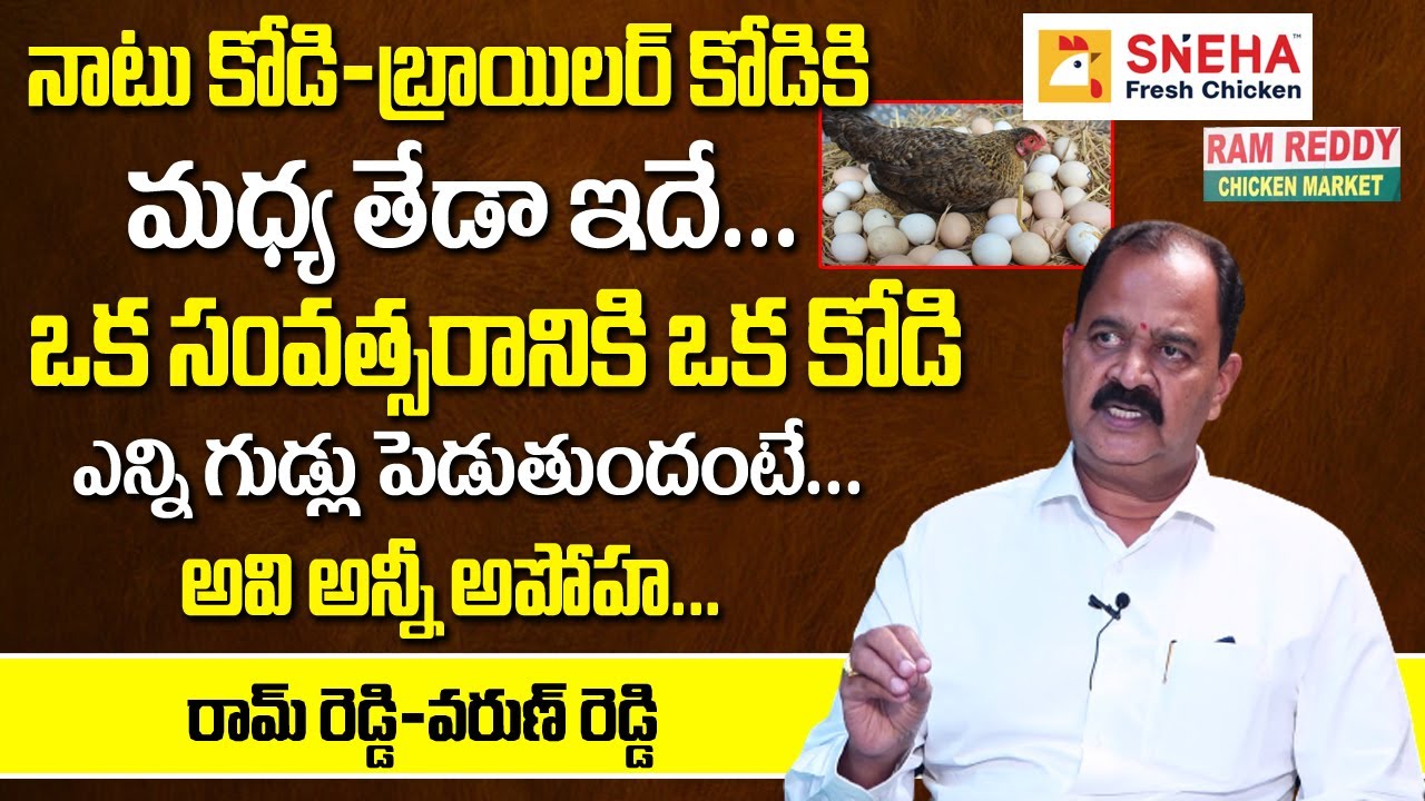 Broiler Kodi Vs Natu Kodi | Difference Between | Ram Reddy Sneha Chicken Chairman | Unknown Facts