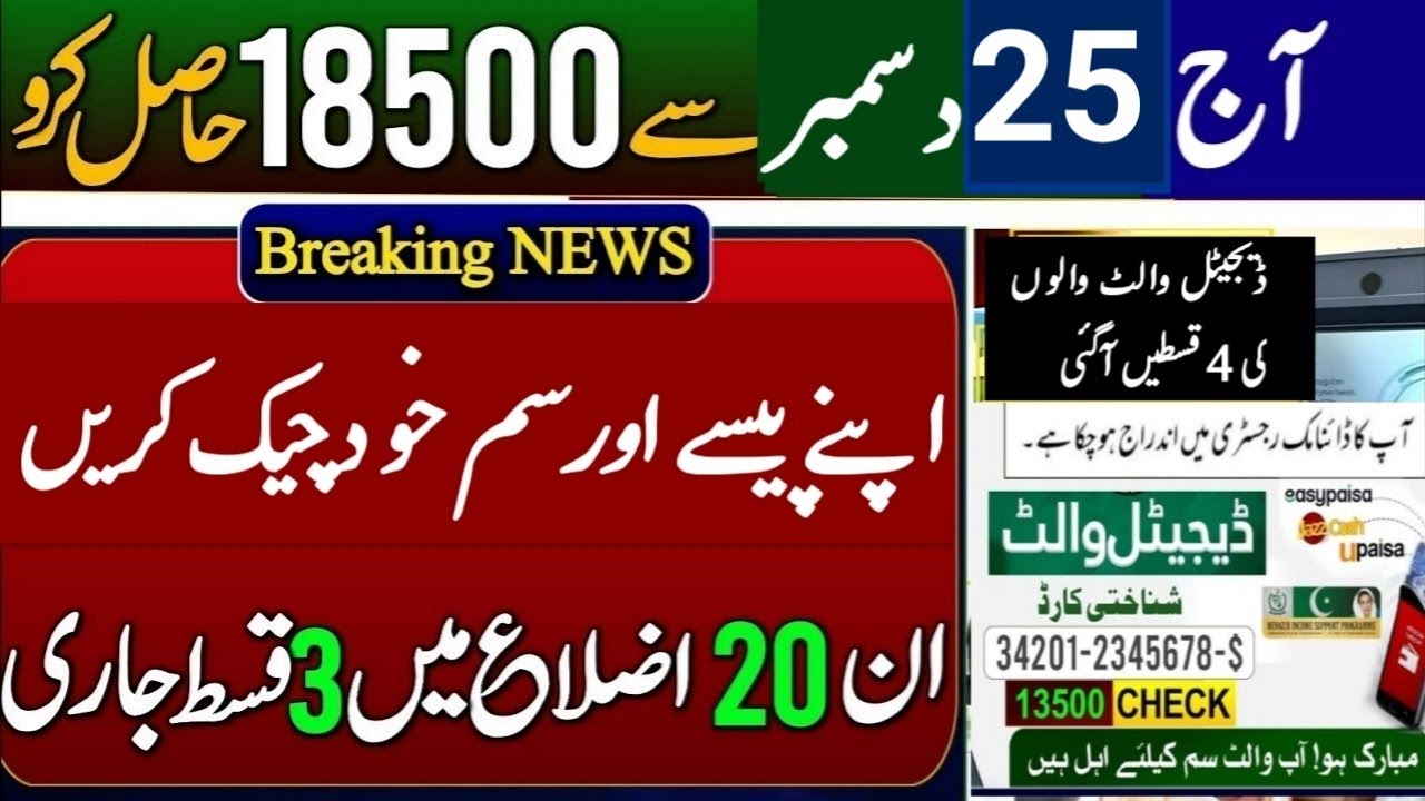 Benazir Income Support program online payment check 2025 | Bisp New Update Today | 8171 Check online