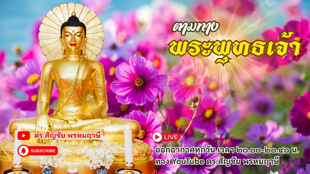 ตามทางพระพุทธเจ้า 8 มีนาคม 2569