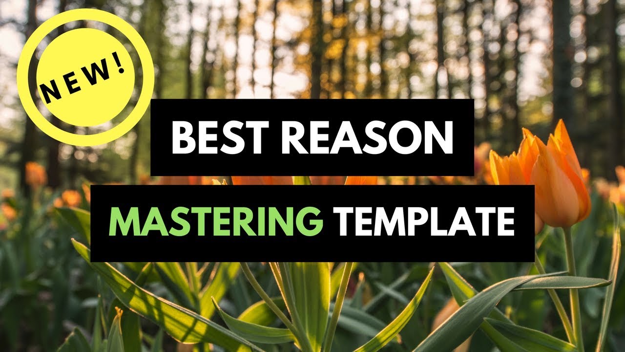 Best Reason Mastering Template (for Propellerheads Reason 10 & Reason 9)